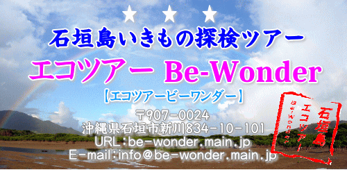 石垣島エコツアーBe-Wonder