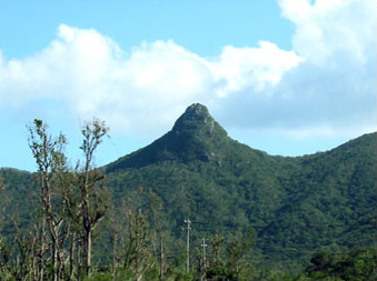 石垣島エコツアー・野底マーペー