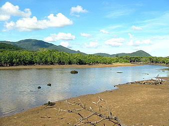 石垣島エコツアー・名蔵アンパル