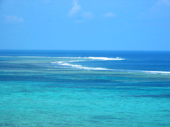 石垣島エコツアー・玉取崎展望台