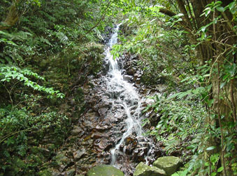 石垣島エコツアー・於茂登岳