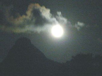 石垣島エコツアー・野底マーペー