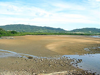 石垣島エコツアー・名蔵アンパル
